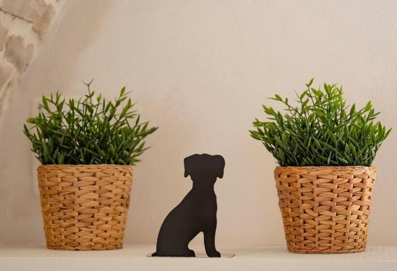 Номер Стандарт, Dimora Corte Sant Angelo