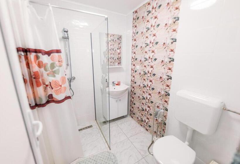 اتاق استاندارد, Pensiune Carpați