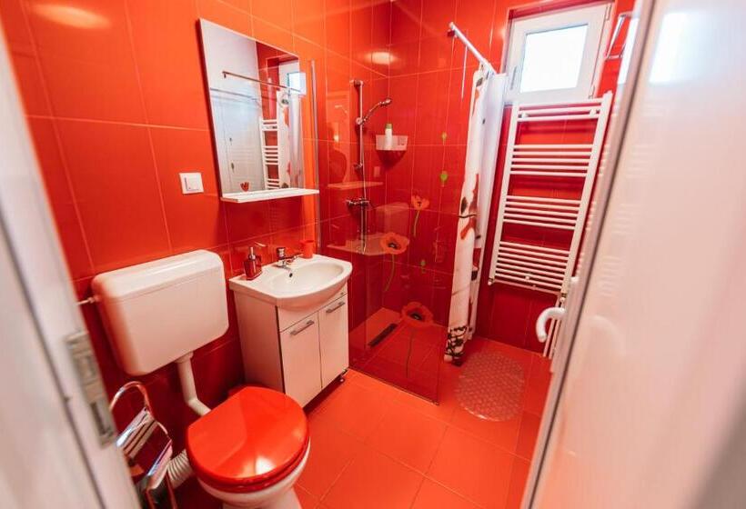 اتاق استاندارد با بالکن, Pensiune Carpați