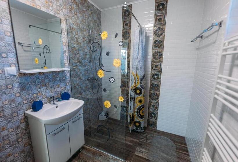 اتاق استاندارد با تخت بزرگ, Pensiune Carpați