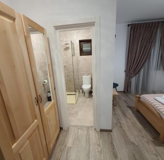 Номер Стандарт, Pensiunea Alicia