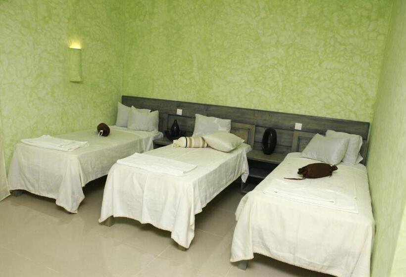 اتاق استاندارد چهار تخته, Vivenda Viviani