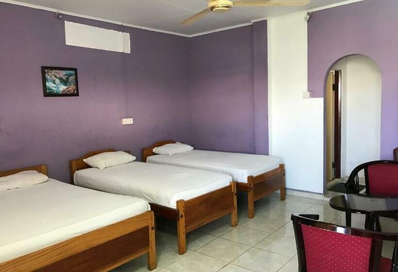 标准单人间, Gnaanams Hotel And Restaurant