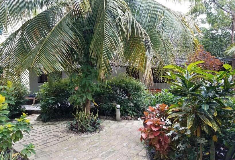 اتاق اکونومی, Baraka Beach Bungalows