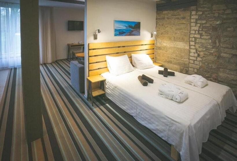 1ベッドルームアパートメント, Johan Spa