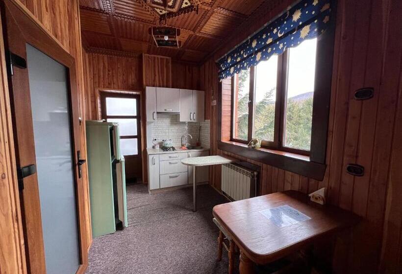 آپارتمان 1 خوابه با تراس, U Yaroslava