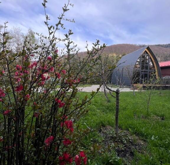 خانه 2 خوابه, U Yaroslava