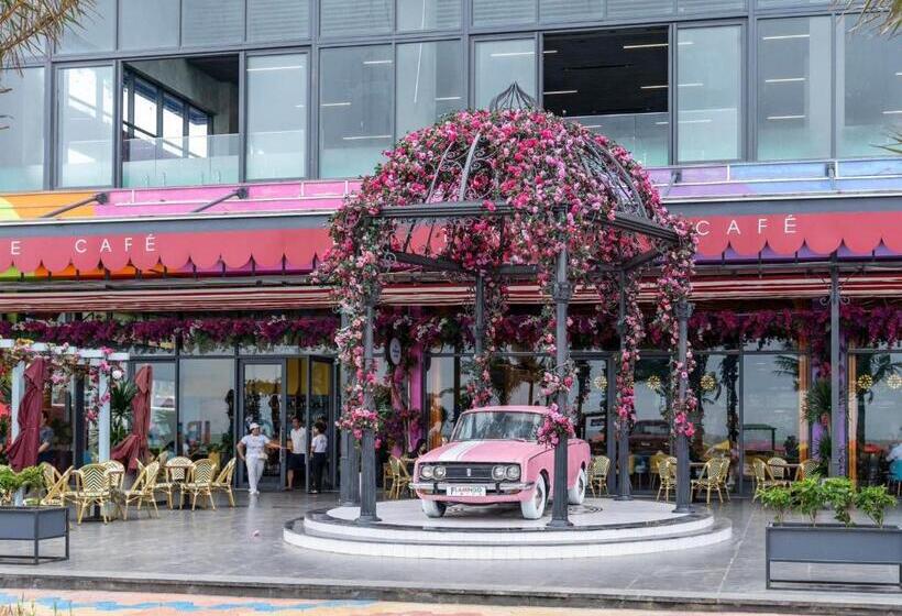 استودیوی استاندارد, Flamingo Hải Tiến, Ibza 816a