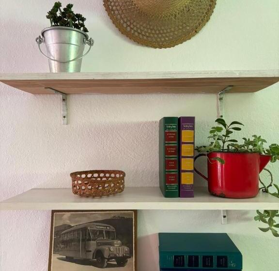 Студия Стандарт, Flat Muqui 91