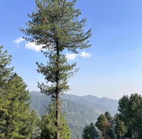 اتاق سوپریور با تخت بزرگ, Vacations Inn Hotel And Restaurant