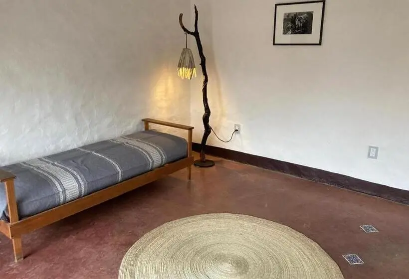 سوئیت با تخت بزرگ, Casa Café Arte