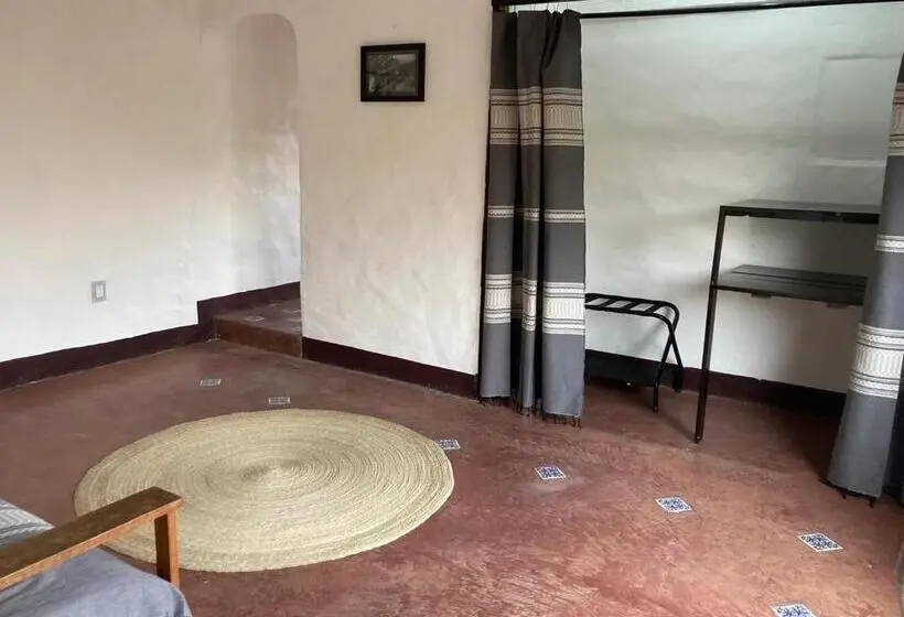 سوئیت با تخت بزرگ, Casa Café Arte