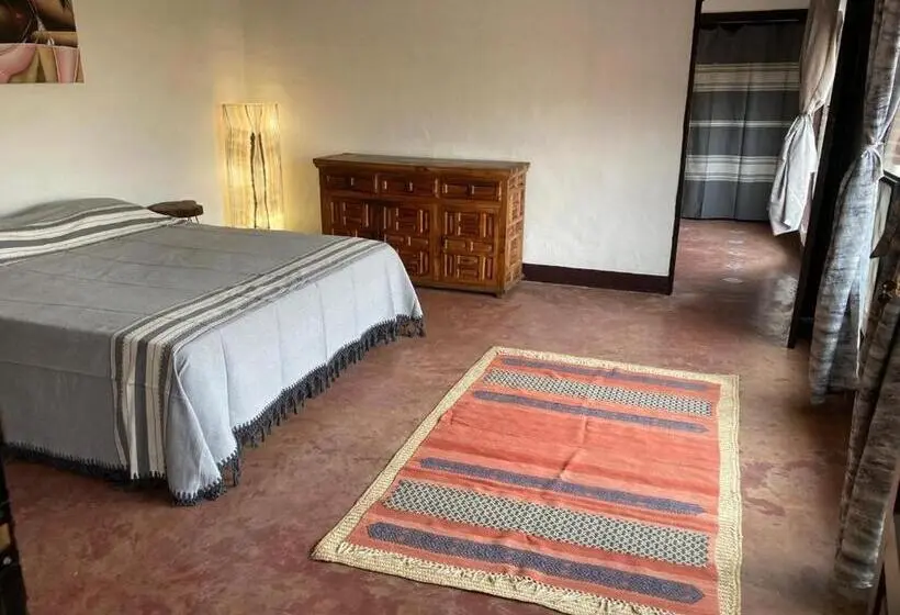 سوئیت با تخت بزرگ, Casa Café Arte