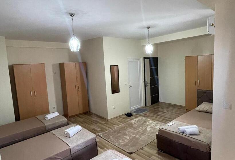 اتاق استاندارد چهار تخته, Balkan