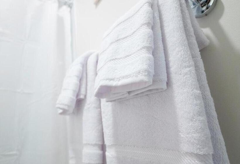 Апартаменты Премиум 1 Спальня, The Standard Downtown Columbus