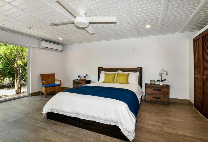 اتاق لوکس, Aloe B&b