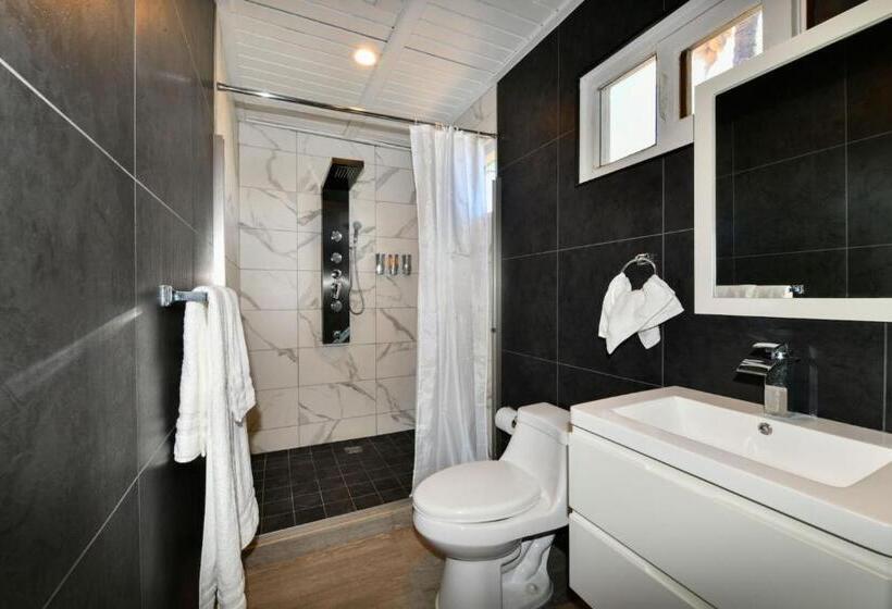 اتاق لوکس, Aloe B&b