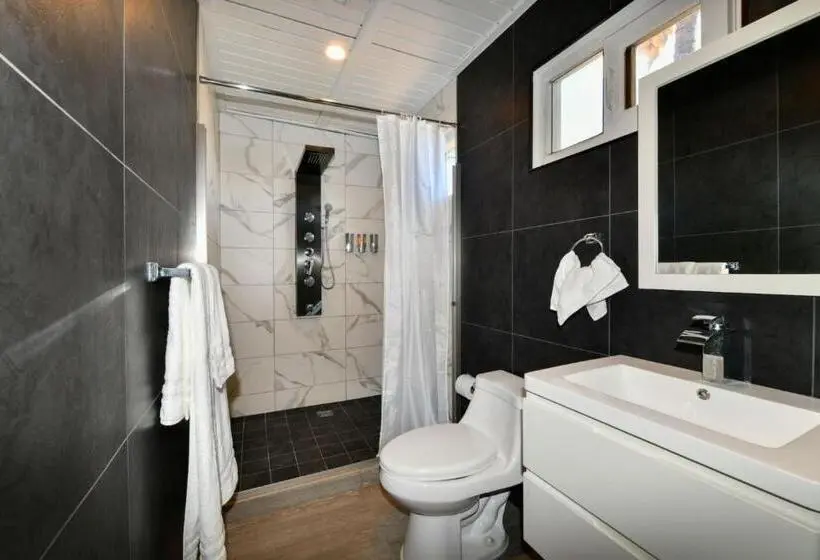 اتاق لوکس, Aloe B&b