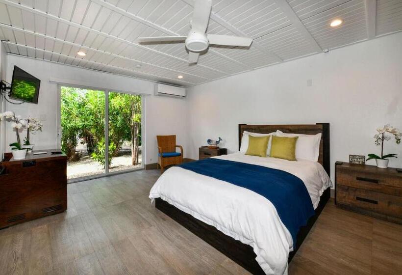 اتاق لوکس, Aloe B&b