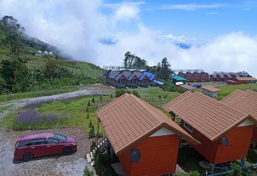 标准间, Baan Phak Plaithang At Phu Thap Buek