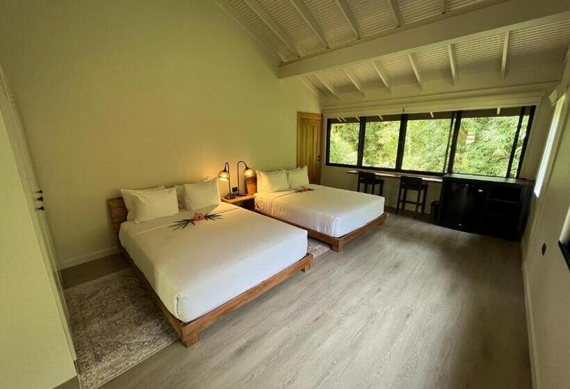 اتاق لوکس, Hadco Experiences At Asa Wright Nature Centre