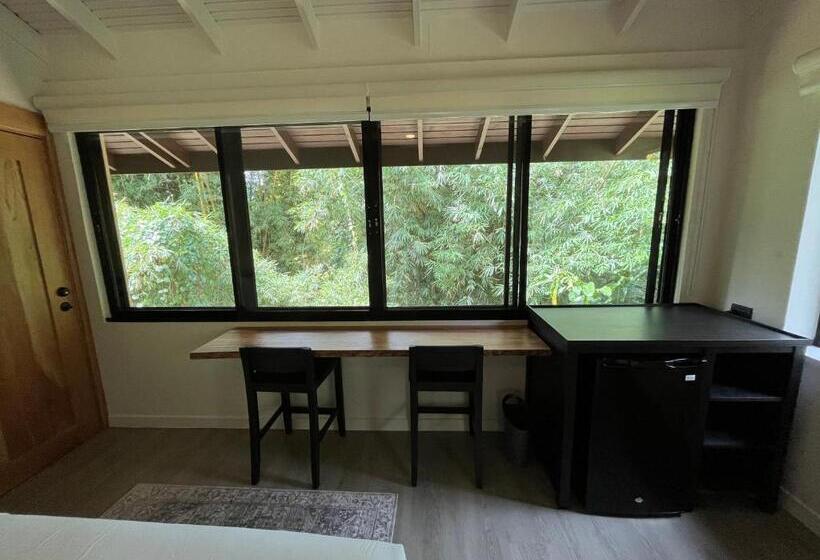 اتاق لوکس, Hadco Experiences At Asa Wright Nature Centre
