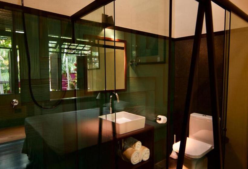 수피리어 룸, Cas Amazonia Brasil