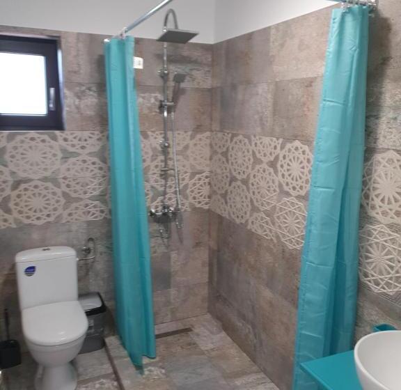 标准间, Casa țache