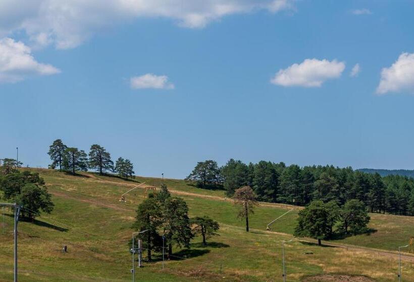 آپارتمان 1 خوابه با تراس, Vip Bogić Apartmani   Recepcija