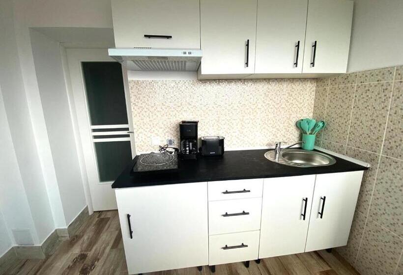 شقة ديلوكس غرفة واحدة, Vila Suveranii