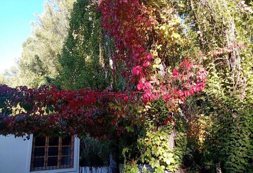 스탠다드 룸 킹사이즈 침대, Los Siete Chakras