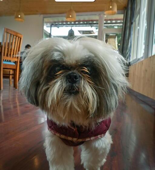 חדר סטנדרט עם מרפסת, Blue Lotus Resort