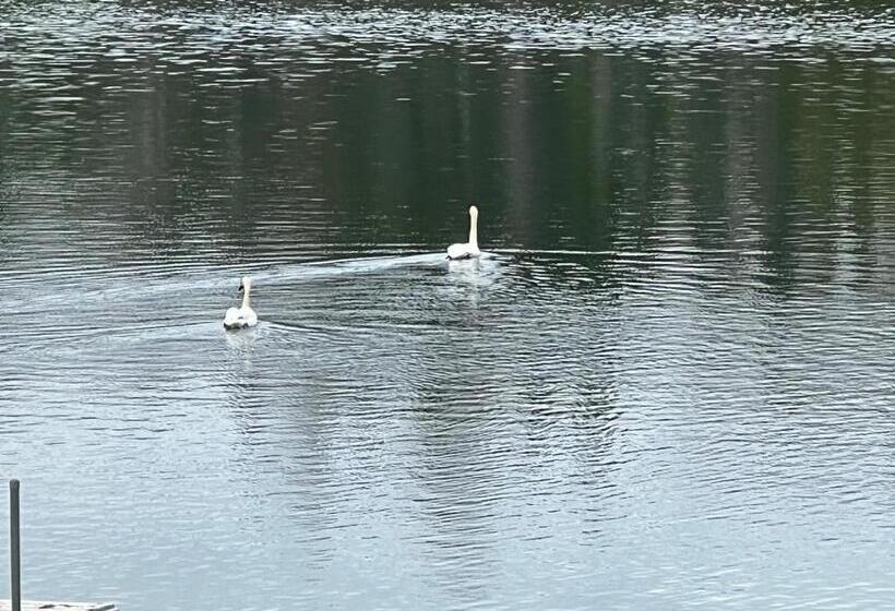 침실 3개 주택, Sure Game Wilderness Resort