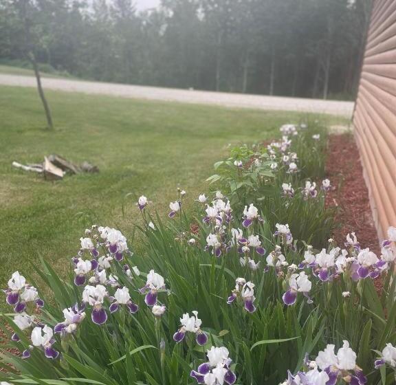 침실 1개 주택, Sure Game Wilderness Resort