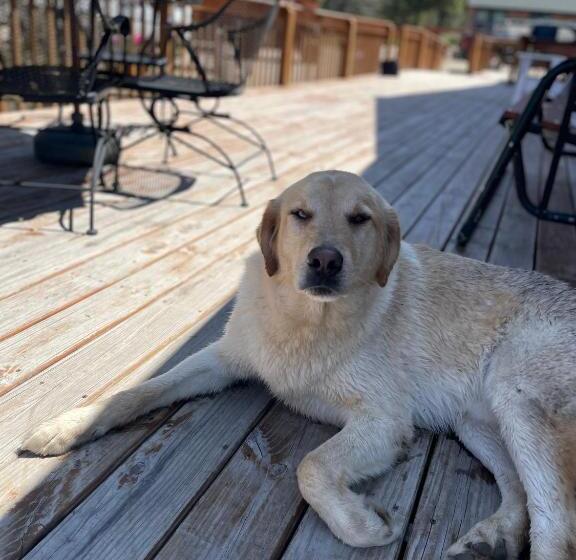 1 Szobás Ház, Sure Game Wilderness Resort