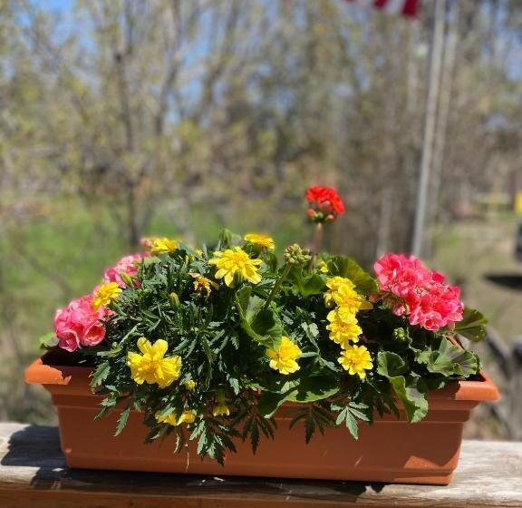 1 Szobás Ház, Sure Game Wilderness Resort