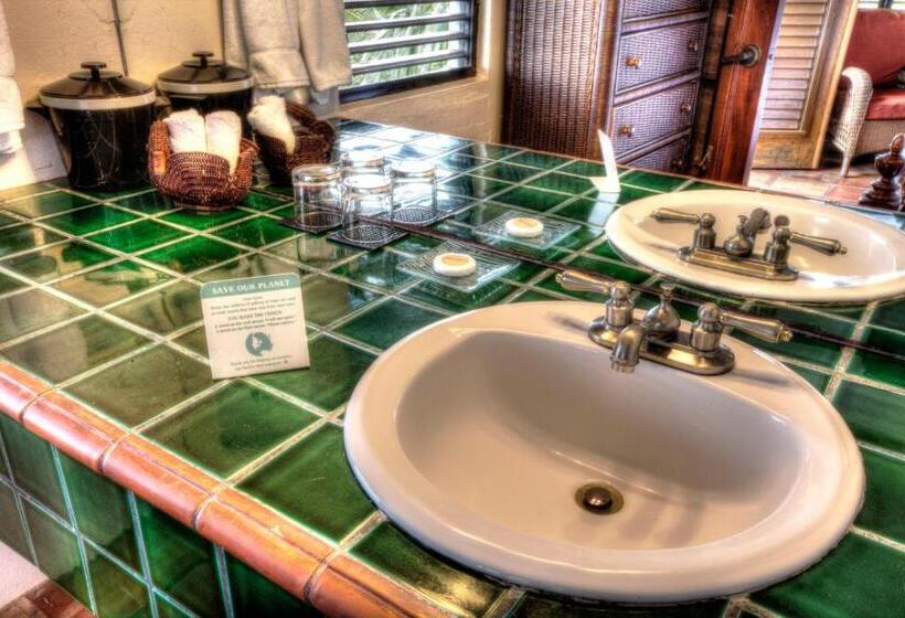 اتاق لوکس با چشمانداز دریا, Hacienda Tamarindo