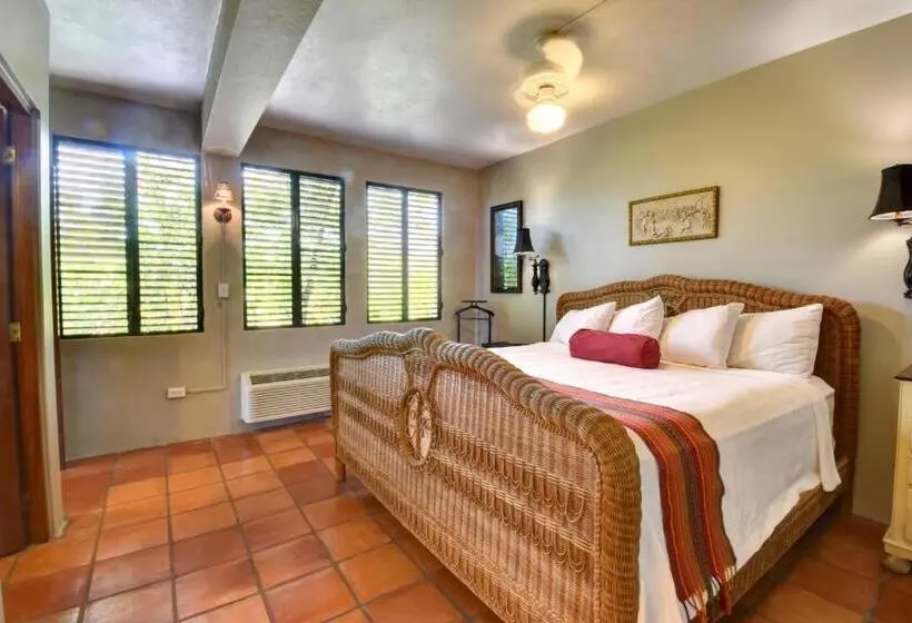 اتاق لوکس با چشمانداز دریا, Hacienda Tamarindo