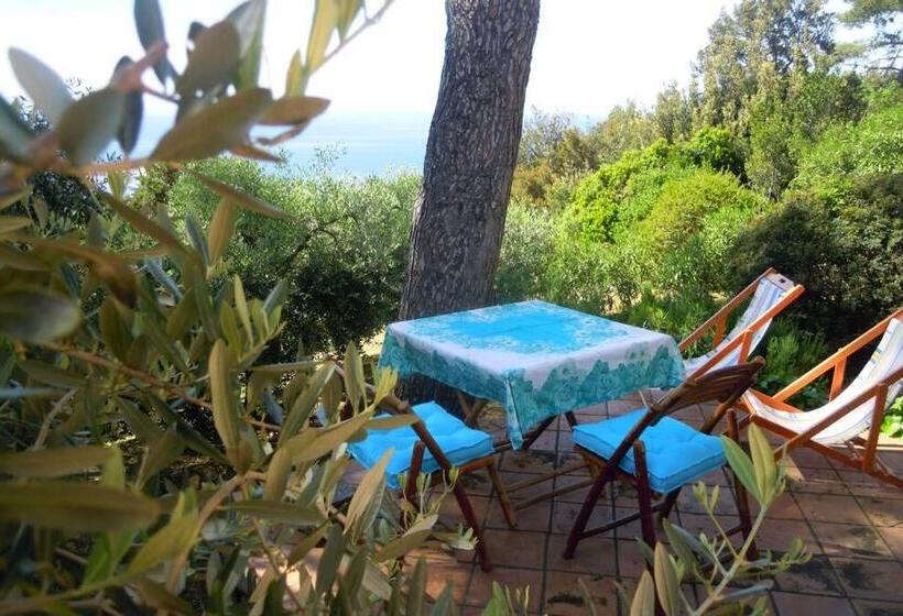 חדר סטנדרט, Mini Suite Ulivo