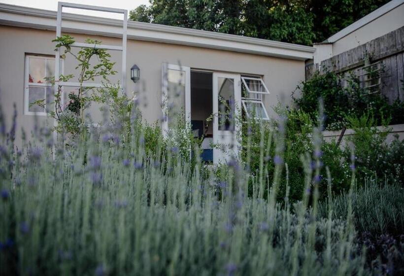 스탠다드 룸 킹사이즈 침대, Cornerstone Manor