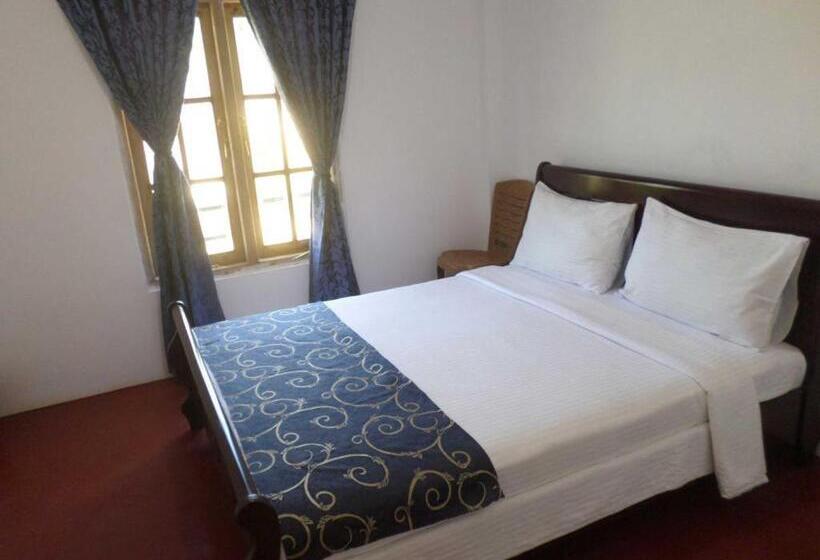 标准间, The Train View