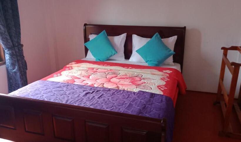 标准间, The Train View