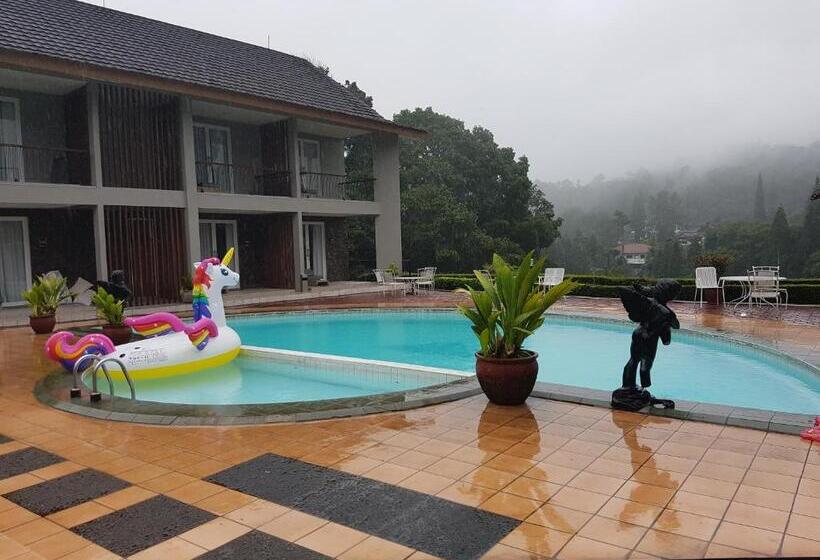 Deluxe Szoba, Ariandri Puncak