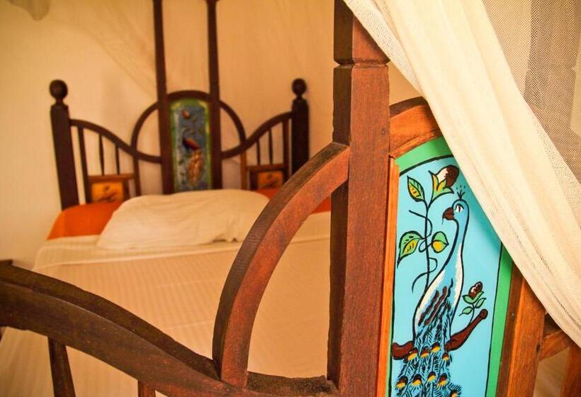 标准单人间, Kiponda B&b