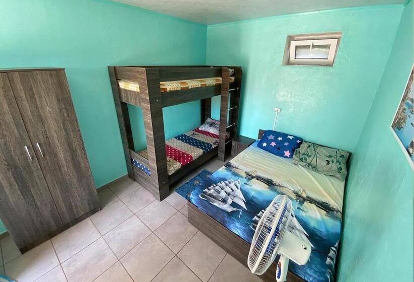 Chambre Quadruple Standard, катюша морская