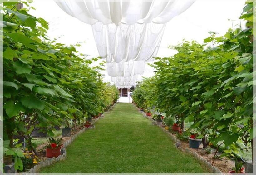 غرفة ديلوكس, Hostería Estancia El Angel