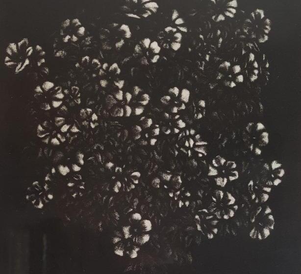 חדר סטנדרט, מיטת קינג, מותאם לאדם עם מוגבלויות, Podere La Starza