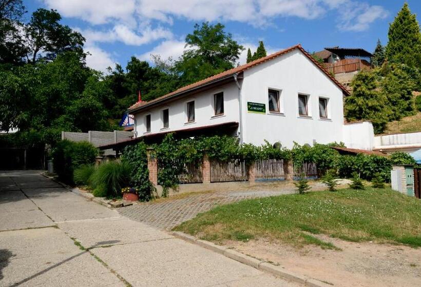 スタンダード4人部屋, Ubytování U Sklepů