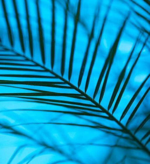 Апартаменты 1 Спальня Вид на Бассейн, Sunset Resort Lakeside Apartment