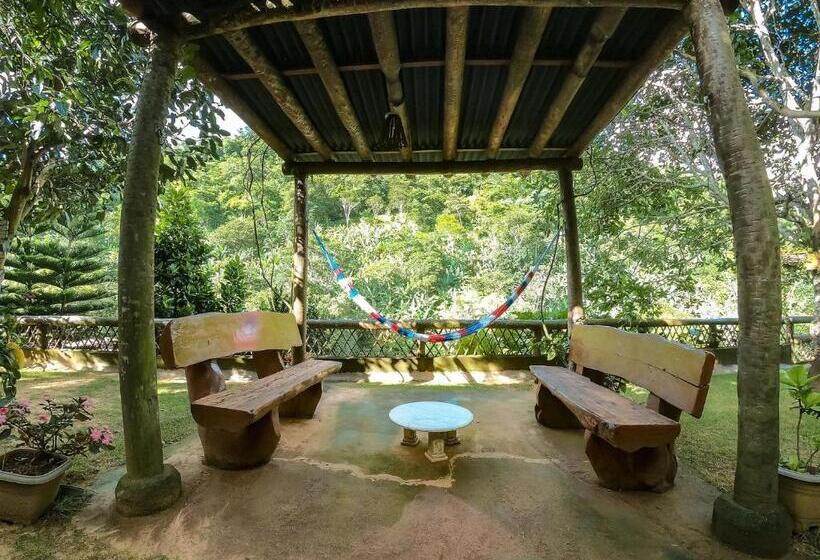 בקתת סופריור בת חדר 1, Saíra Recanto De Serra